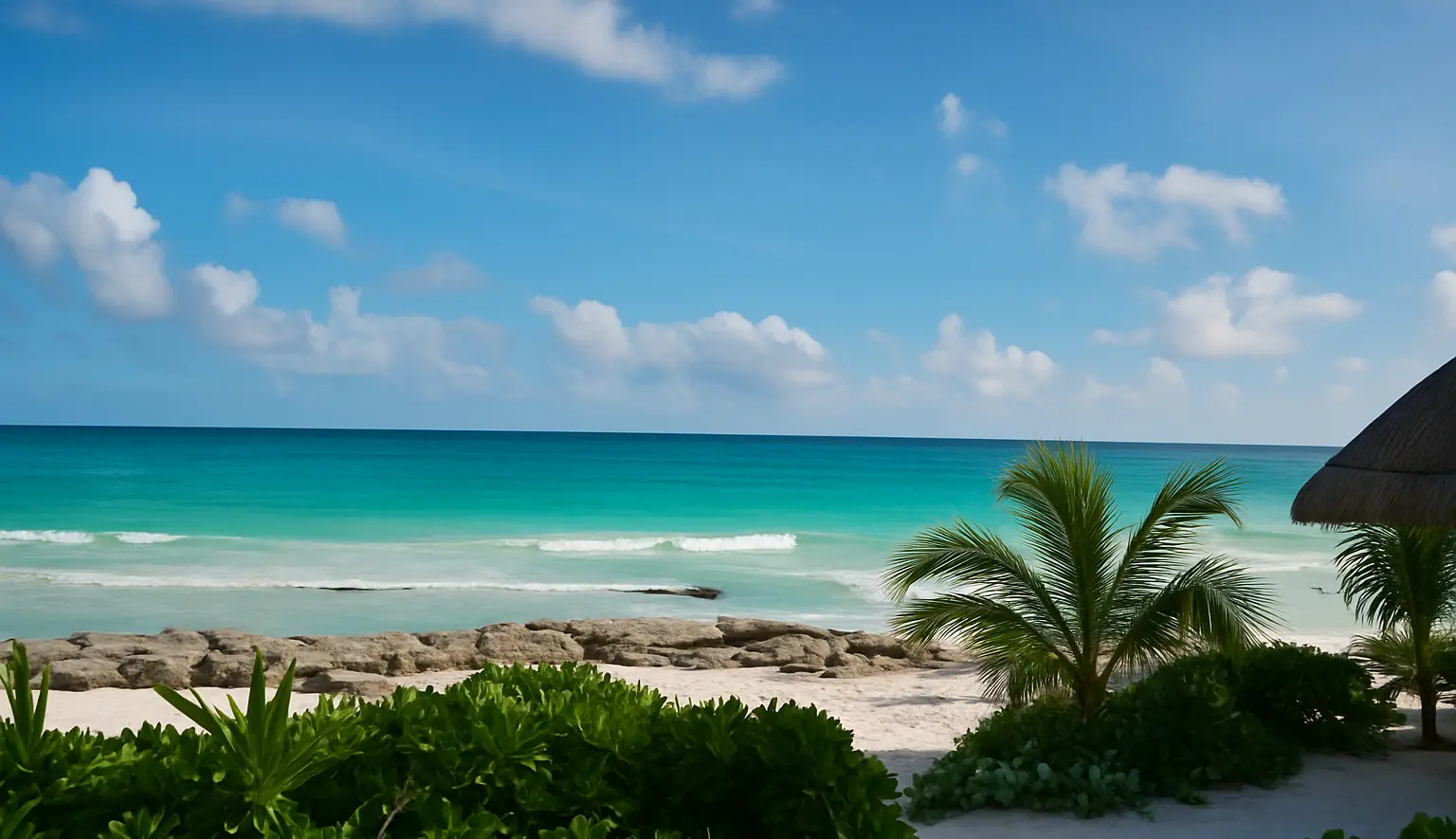 Custom private tours in Tulum and Riviera Maya